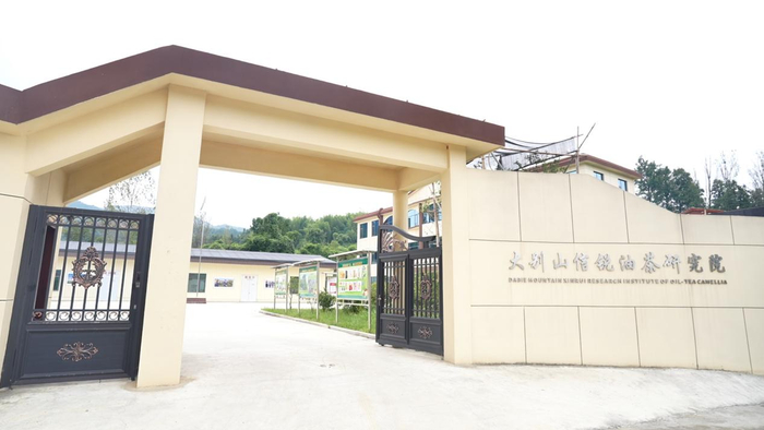 图为信锐油茶研究院。