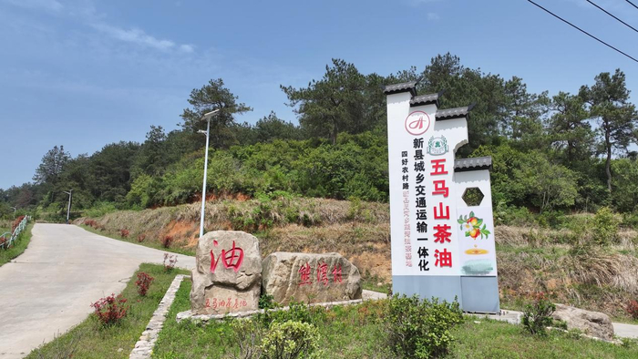 图为大别山深处的熊湾村。