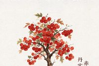 香料话廉丨红果：丹心昭节 赤守初心