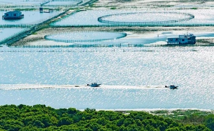 阳澄湖上的围网养殖区——真正的“湖蟹”就出自这1.57万亩水面（图源：昆山发布）
