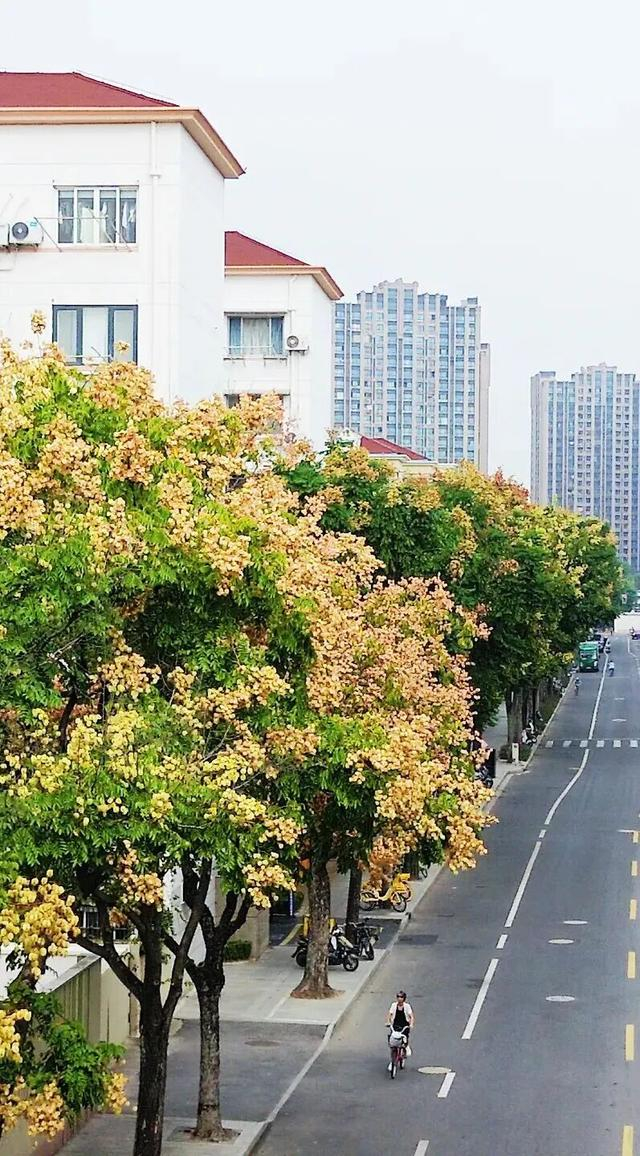 图源@上海徐汇