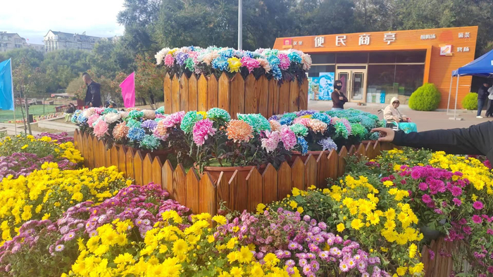 彩化景观