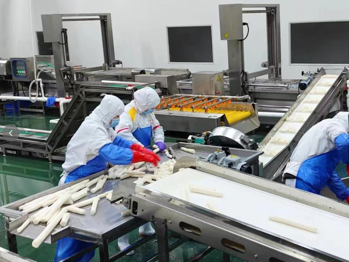 保定市蠡县一家净菜加工企业的恒温车间。新华社记者赵鸿宇 摄