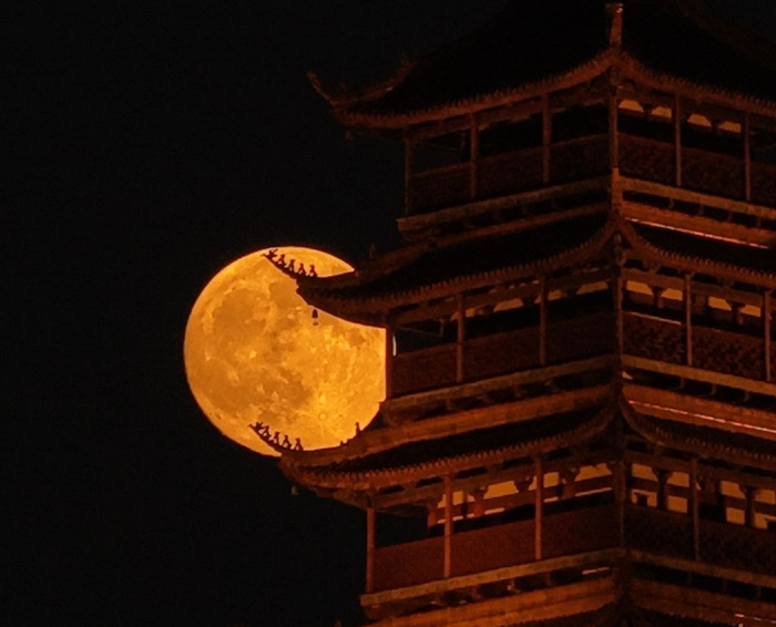 2025年10月6日在江苏省南通市狼山国家森林公园拍摄的中秋满月。 新华社发（许丛军摄）