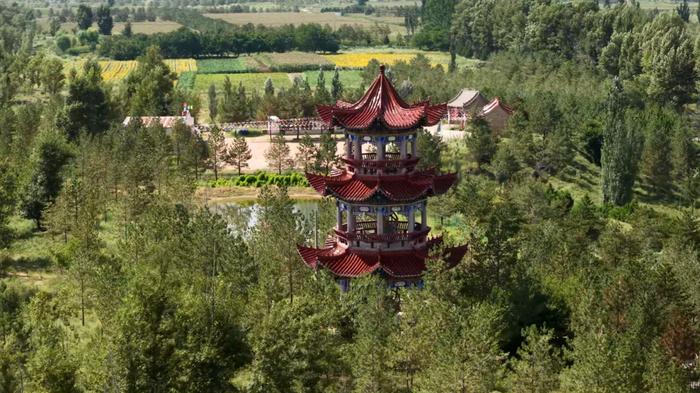  这是在殷玉珍家附近拍摄的毛乌素沙地（8月24日摄，无人机照片）。