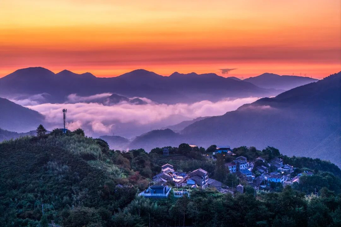 管光金/摄
