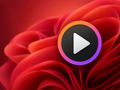 微软提前移除 Windows Media Player 经典媒体播放器皮肤支持，经典主题已失效