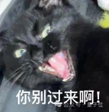不过，有了「活人感」，还得经得住海量玩家一起聊。