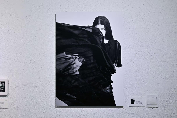 ▲尼科洛作品