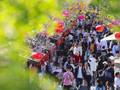 从网红到长红！彭城七里解锁徐州中秋小长假文旅 “留量密码”