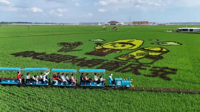 2026年7月4日，在绥化市庆安县一处稻作文化公园，游客乘坐观光小火车观赏稻田画。新华社发（卢峰 摄）
