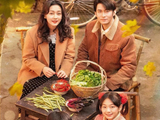 《家里家外》获金鹰认可，导演杨科南：预计《家里家外3》11月底开机