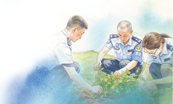 芒信边境派出所的民辅警正在种植“中国芯”月季。高玥 摄（AI辅助）