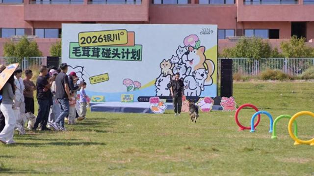 2026银川“毛茸茸碰头计划”主题活动现场。（银川市委宣传部供图）