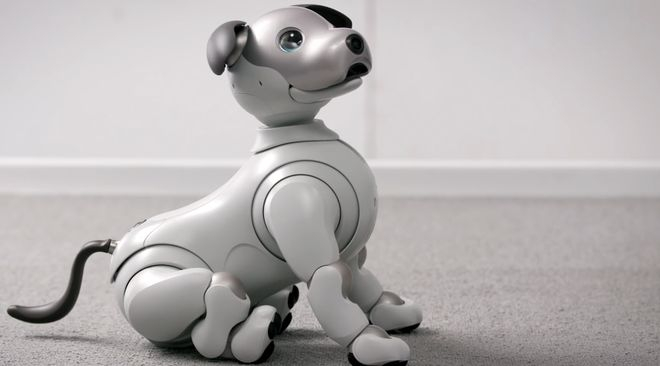 AIBO 机器人 | 来源：互联网