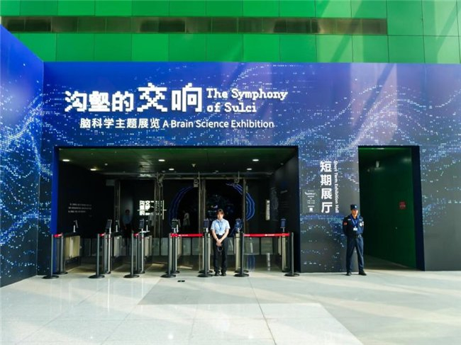 图1:中国科学技术馆“沟壑的交响——脑科学主题展览”现场