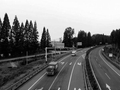 “皖北最美公路”升级亮相