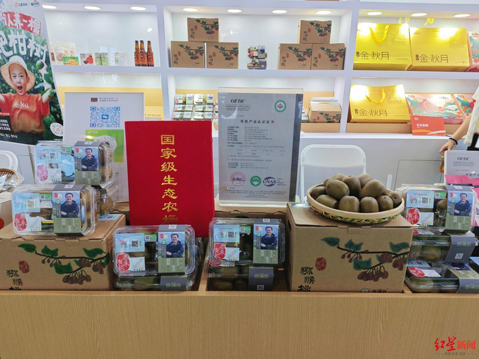 ▲杨欣在成都农博会上展示自己的猕猴桃