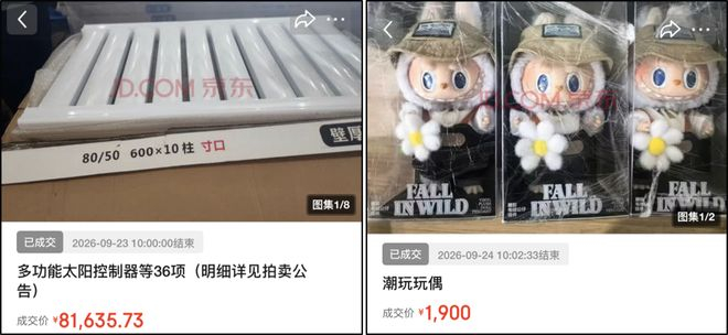 图源京东拍卖