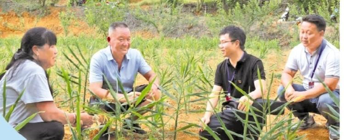 安顺市镇宁自治县募役镇纪检监察干部对新发村村集体项目开展监督检查。        蔡齐秀 摄