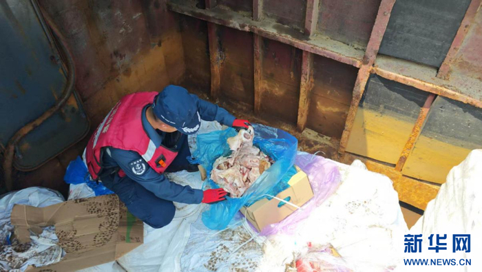 海警执法员在嫌疑船船舱查获走私冻品。新华网发（福州海警局供图）