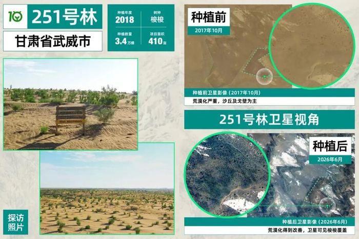 卫星视角下的蚂蚁森林251号林-甘肃武威