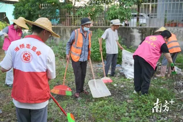 党员干部、志愿者、村民群众齐出力，营造干净整洁的城乡环境。张晓宜 摄