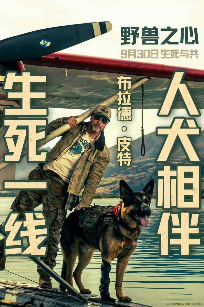 看点