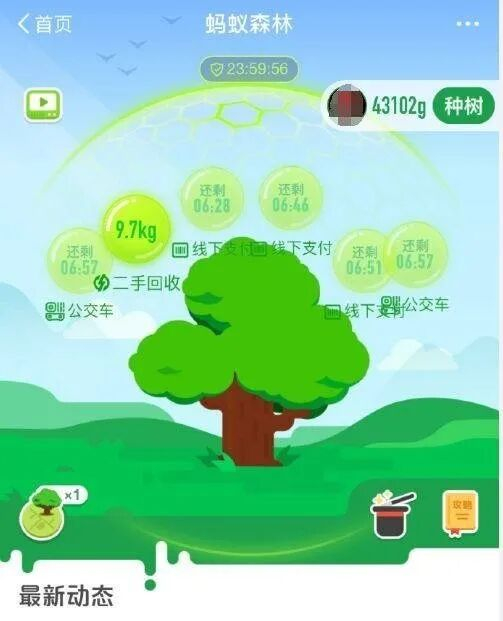 蚂蚁森林上线初期界面