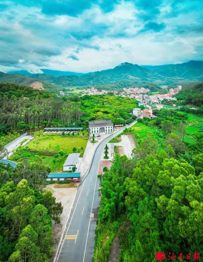 记者 陈茂辛 摄