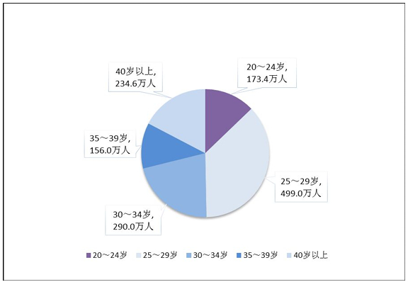 图表来源：《2025年民政事业发展统计公报》