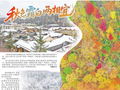 秋色霜白两相宜
