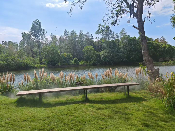 坐在如如咖啡的廊下，观赏薛间村水上风景（拍摄：谷青竹）
