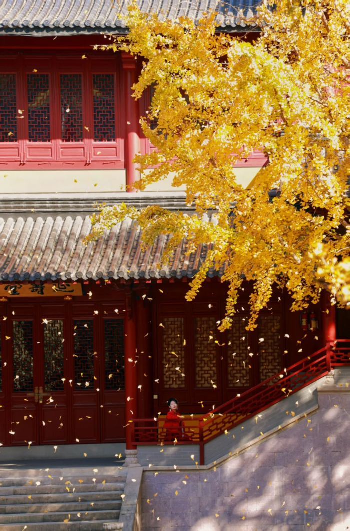 炉峰禅寺 图源小红书@观如