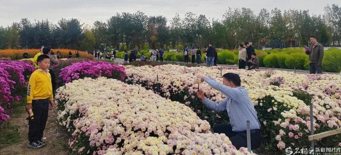 10月2日，新疆农业博览园里各色菊花争奇斗艳，吸引人们驻足。