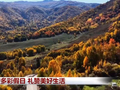 视频丨欢庆多彩假日 礼赞美好生活 国庆出游热度高