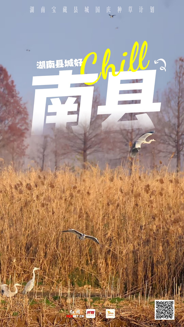 海报制作 谭文平