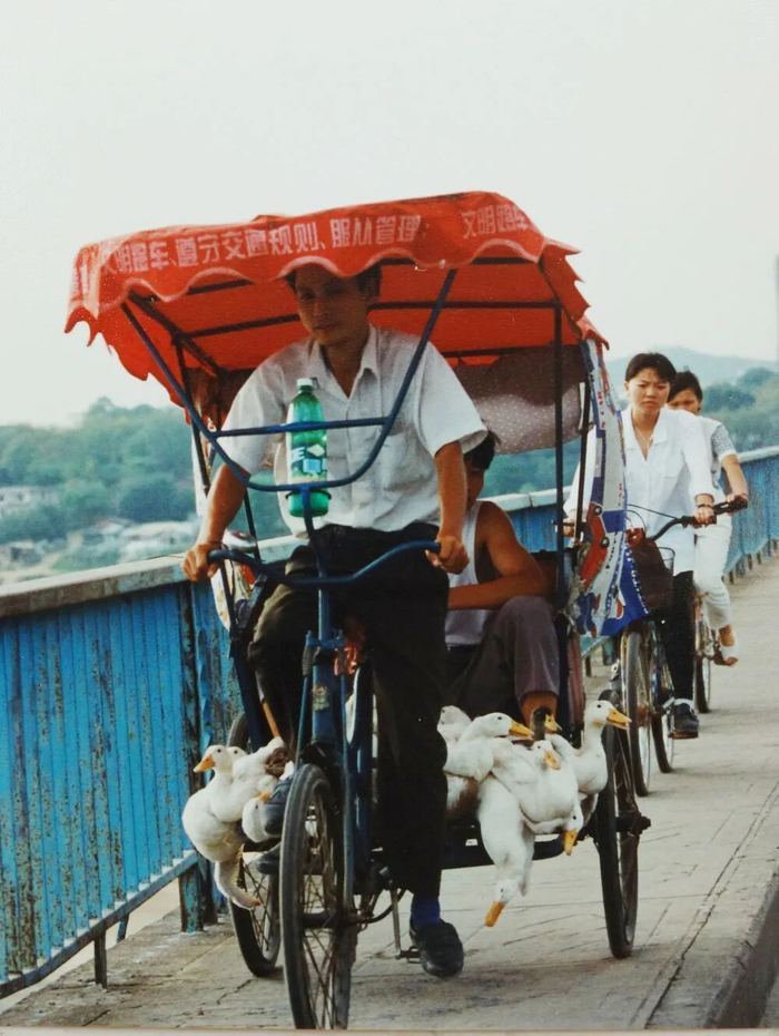 1996年，在江西吉安赣江大桥，男子骑车送人、送鸭。