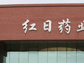 红日药业董秘杨伊23岁参加工作 是硕士研究生学历 曾收到证监局警示函