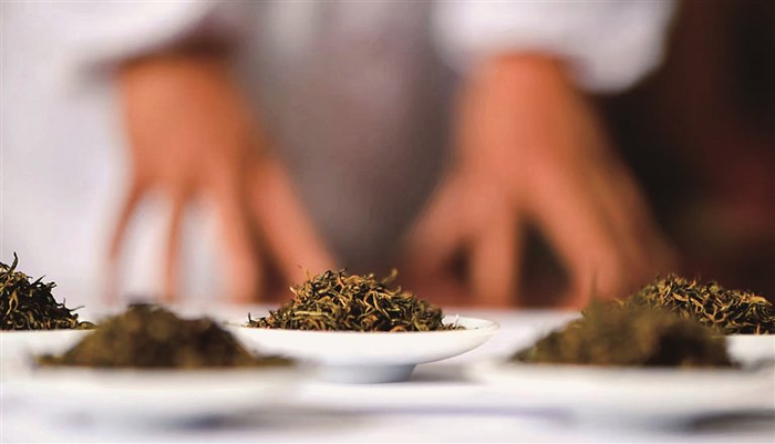 “利川红”茶叶的干茶外形审评环节。图片由恩施土家族苗族自治州委宣传部提供
