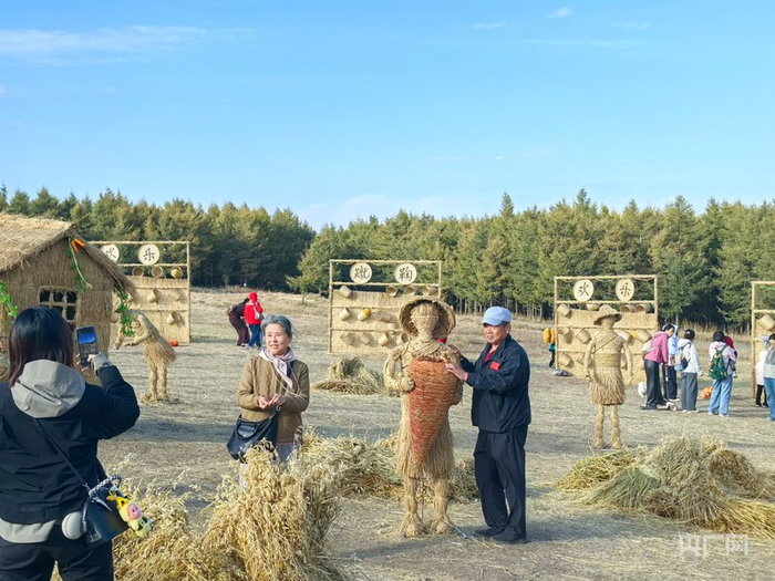燕麦草主题艺术区（央广网记者  邵玉琴  摄）