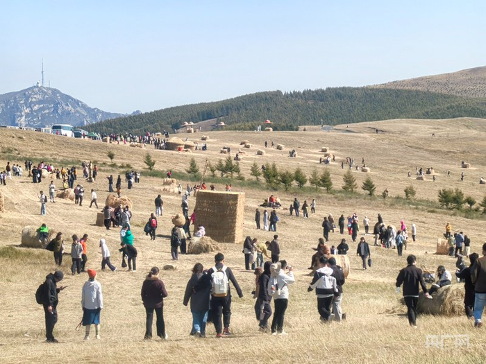 高山牧场成了游客热门拍照打卡地（央广网记者  邵玉琴  摄）