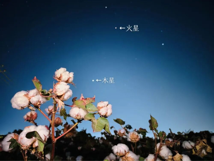 2026年9月25日，在新疆哈密拍摄的火星和木星。（王俊峰 摄）