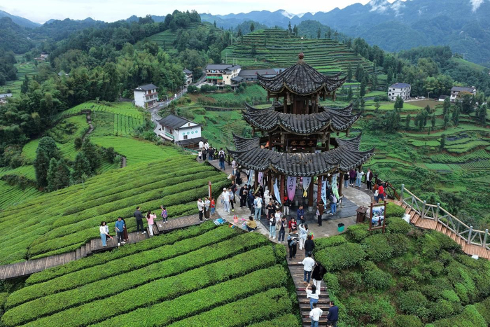 10月4日，游客在湖北省宣恩县伍家台贡茶文化旅游区的茶山上游玩（无人机照片）。 新华社发（宋文摄）