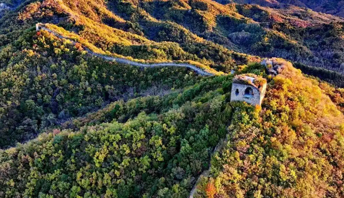 董家口长城的渐变彩林。曹建雄 摄