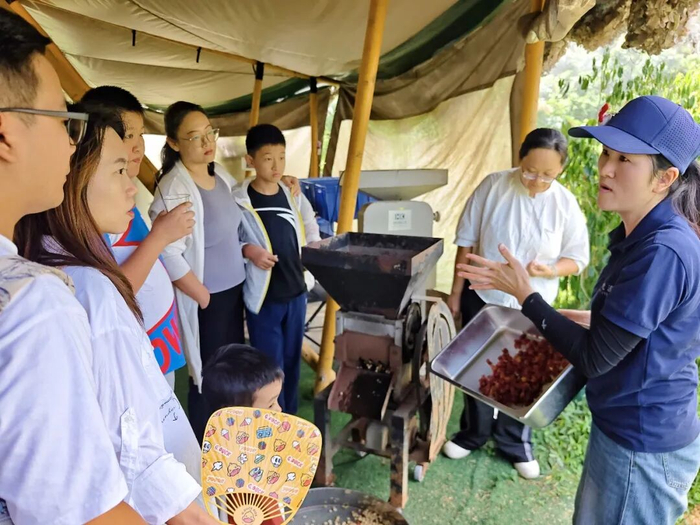 肇沁咖啡学堂里，工作人员正向游客讲解咖啡豆种植、制作工艺等。肇庆市融媒体中心记者 朱梦丹 摄