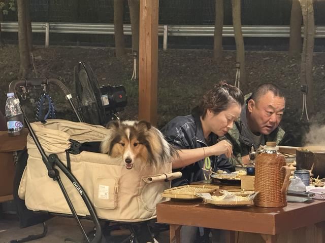 “三十悦居”乡村营地餐厅，游客坐在沿河边的露天餐桌上，带着宠物一起用餐（沈思怡 摄）