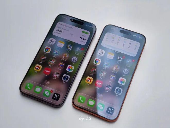  图源：不客观实验室