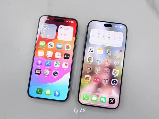  图源：不客观实验室