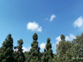 贵阳未来几天都是好天气，最高温升至27℃